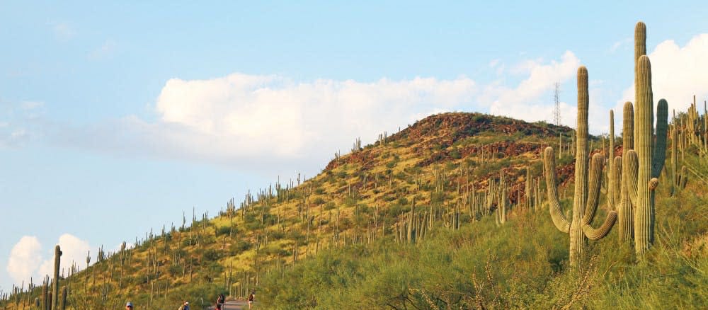 View of Tumamoc Hill from St Mary's Clinic